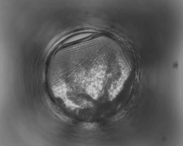 X0000115600247200912081120