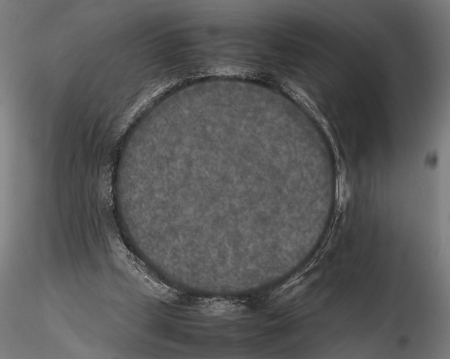 X0000115600249200912081120