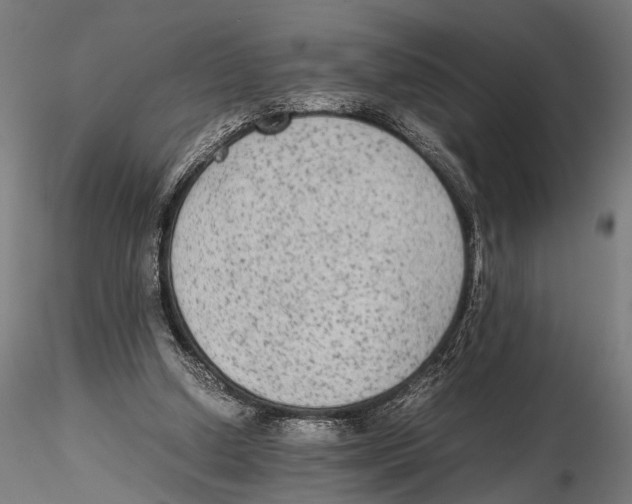 X0000115600250200912081120