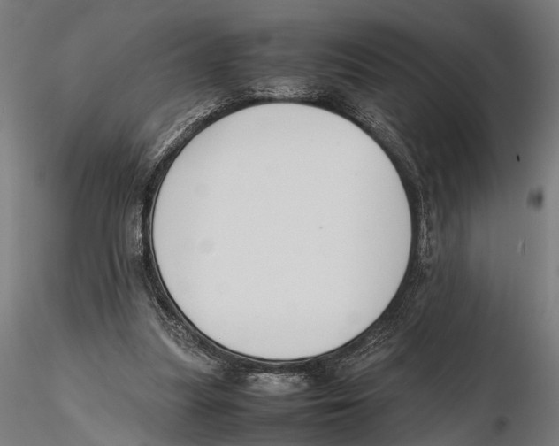 X0000115600251200912081120