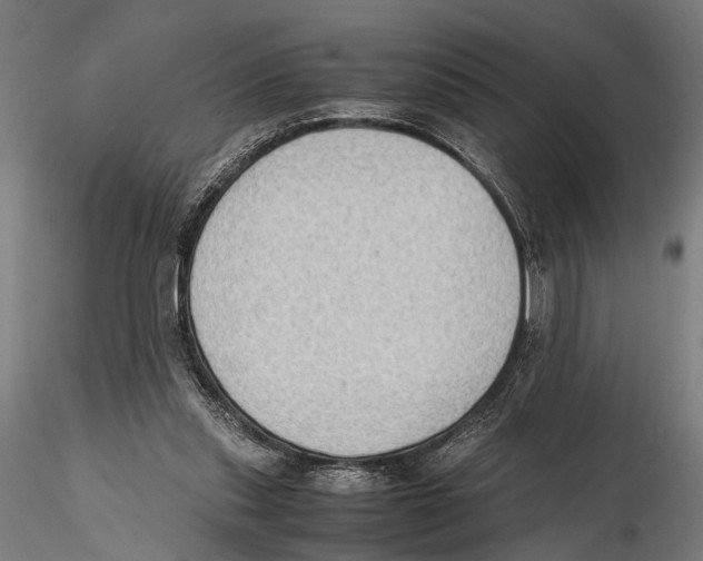 X0000115600253200912081120