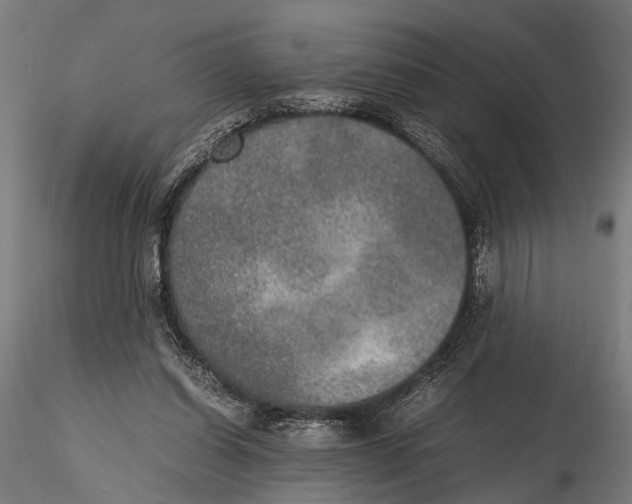 X0000115600254200912081120