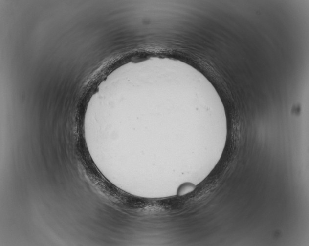 X0000115600256200912081120