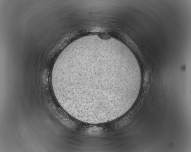 X0000115600257200912081120