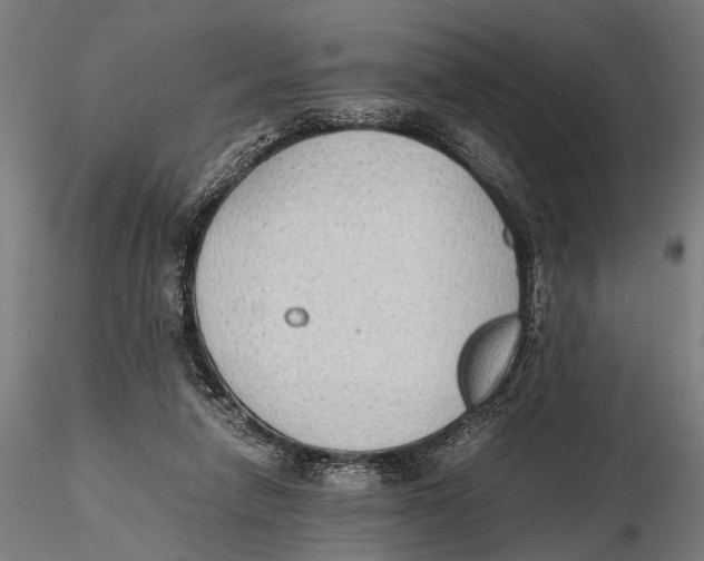 X0000115600258200912081120