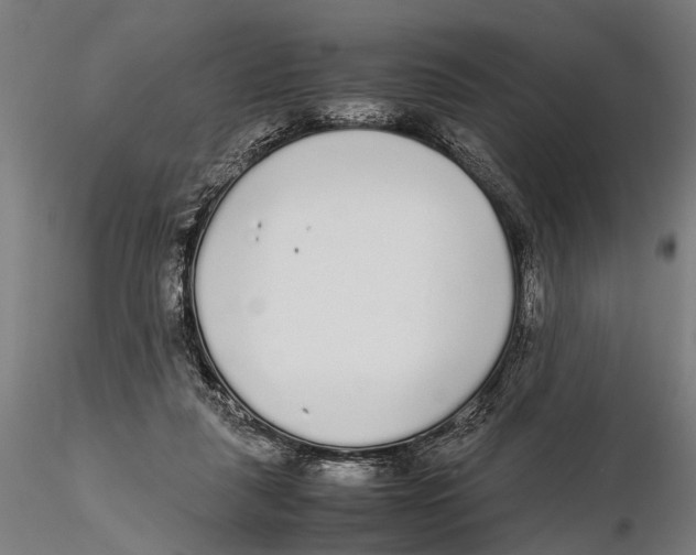 X0000115600259200912081120