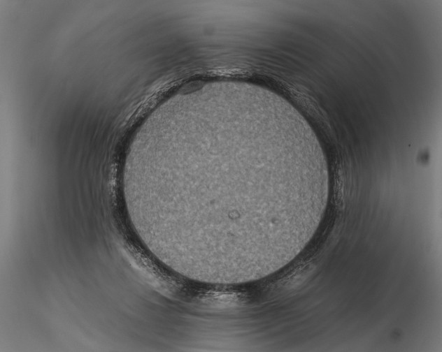 X0000115600260200912081120