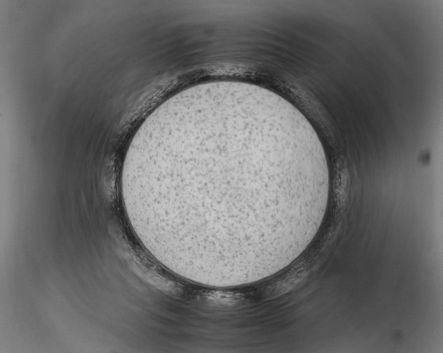 X0000115600261200912081120