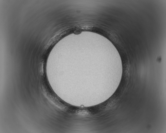 X0000115600262200912081120