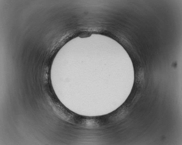 X0000115600264200912081120