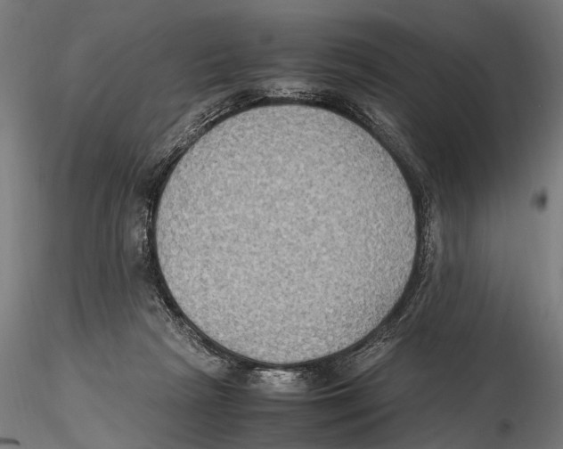 X0000115600265200912081120