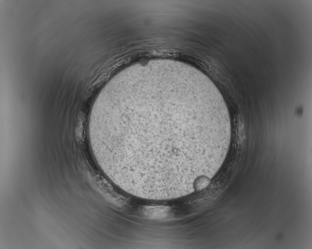 X0000115600266200912081120