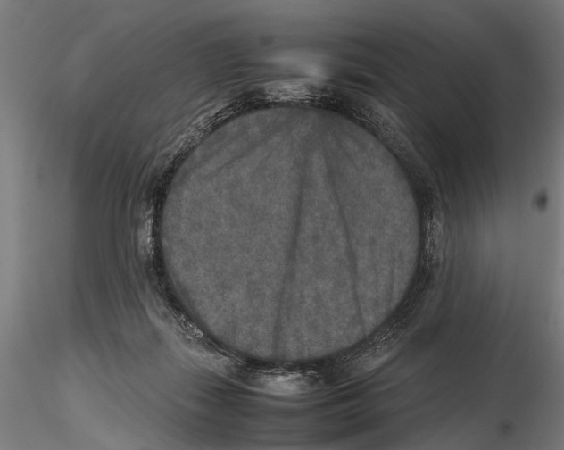 X0000115600267200912081120