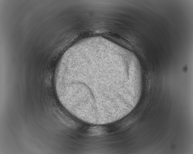 X0000115600269200912081120