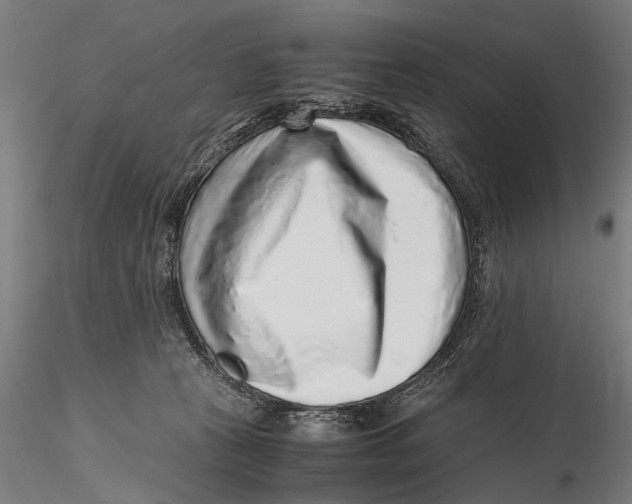 X0000115600273200912081120