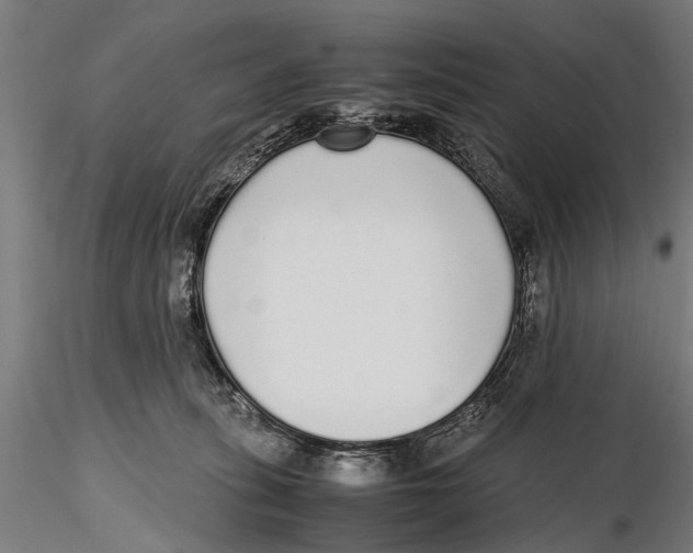 X0000115600275200912081120