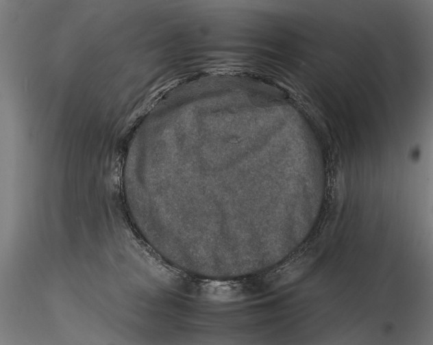 X0000115600277200912081120