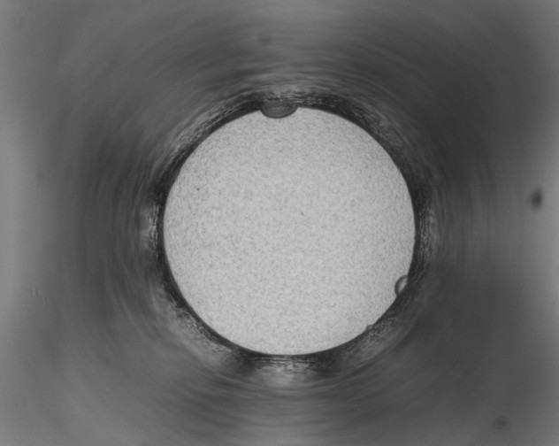 X0000115600278200912081120