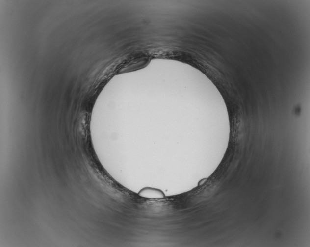 X0000115600280200912081120