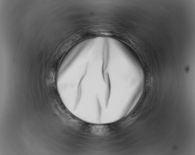 X0000115600281200912081120