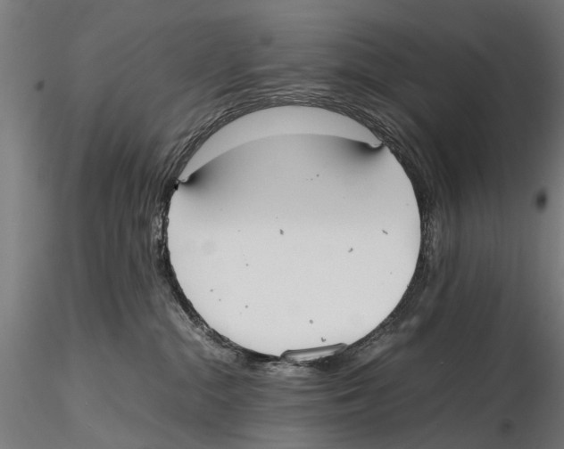 X0000115600284200912081120