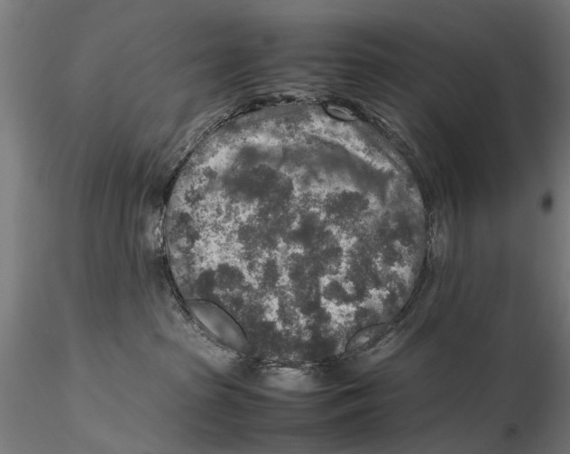 X0000115600285200912081120