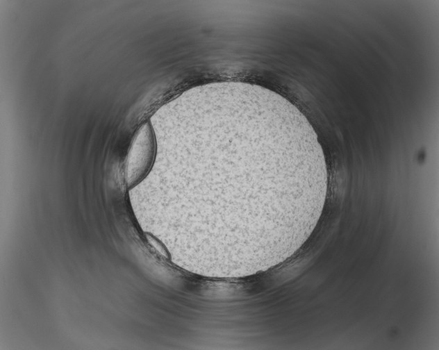 X0000115600286200912081120