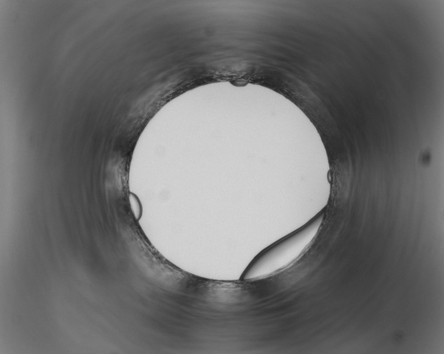 X0000115600287200912081120