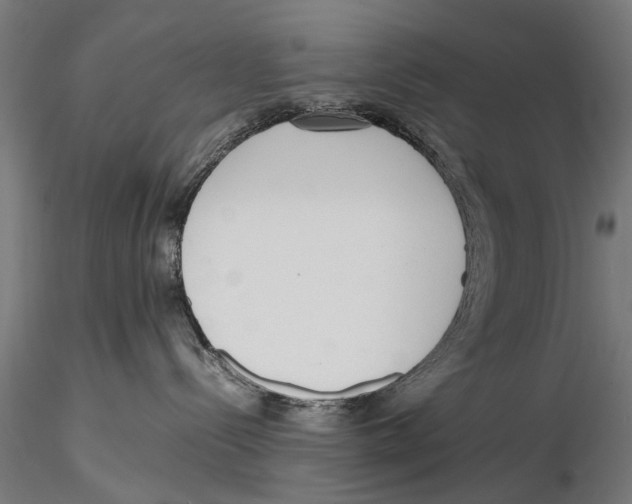 X0000115600288200912081120