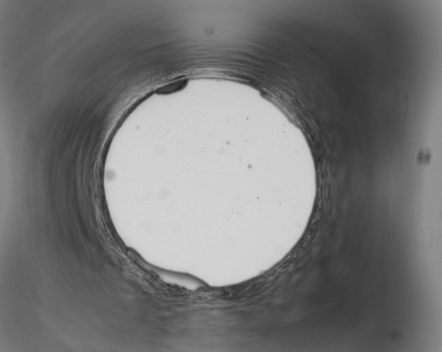 X0000115600289200912081120