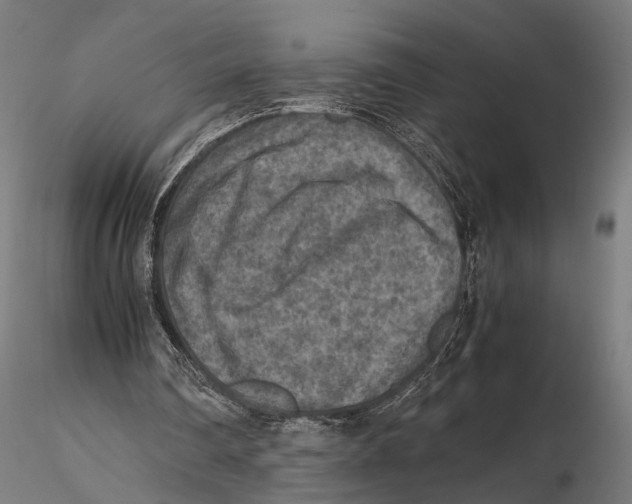 X0000115600290200912081120