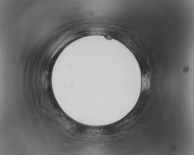 X0000115600291200912081120