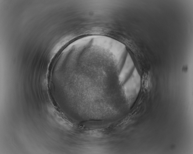 X0000115600292200912081120