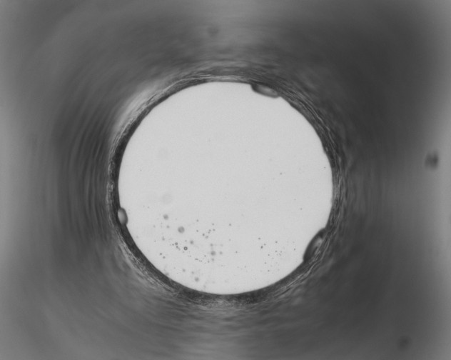 X0000115600293200912081120