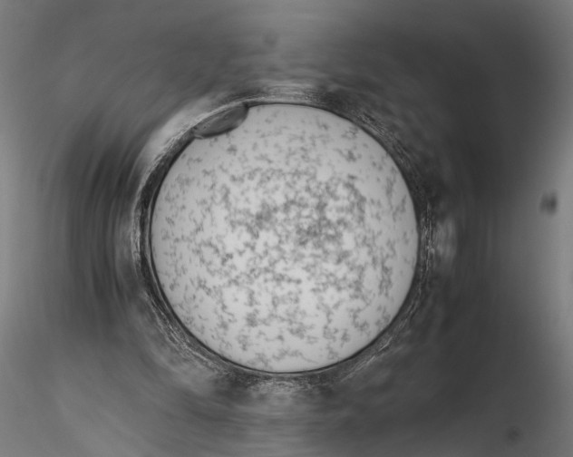 X0000115600294200912081120