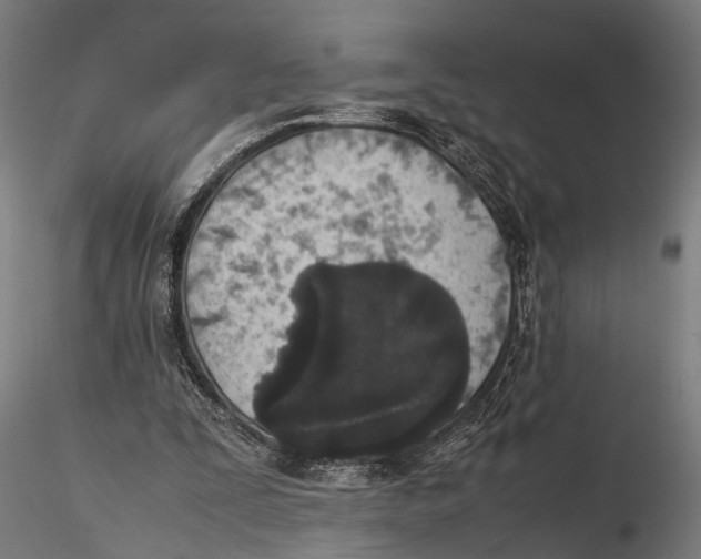 X0000115600295200912081119