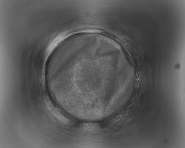 X0000115600296200912081119