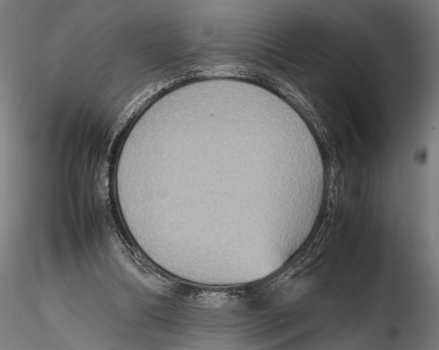 X0000115600298200912081119