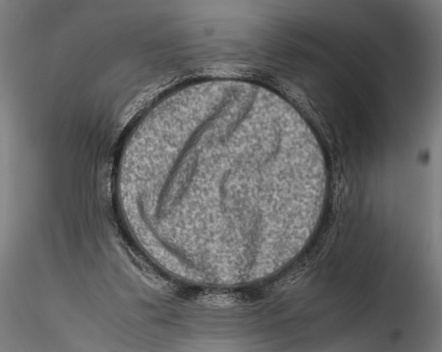 X0000115600299200912081119