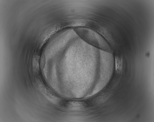 X0000115600300200912081119