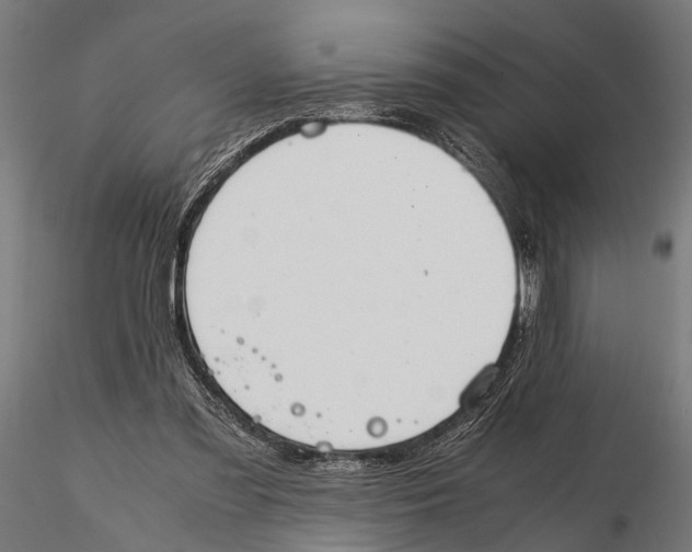 X0000115600301200912081119