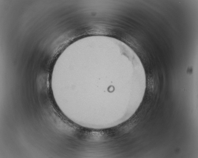 X0000115600302200912081119