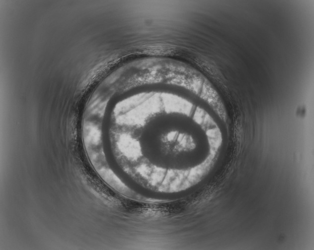 X0000115600303200912081119