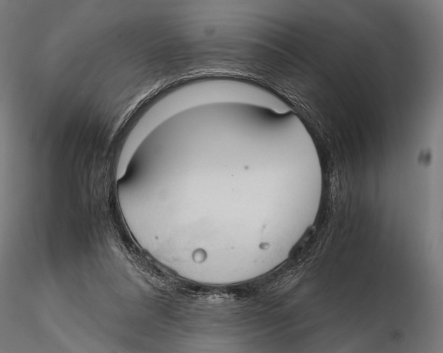 X0000115600304200912081119