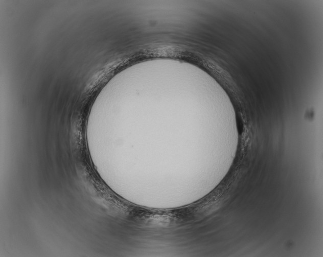 X0000115600306200912081119