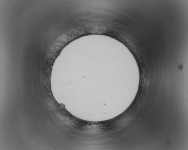 X0000115600307200912081119