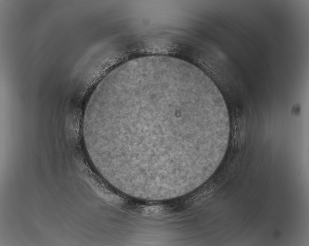 X0000115600309200912081119