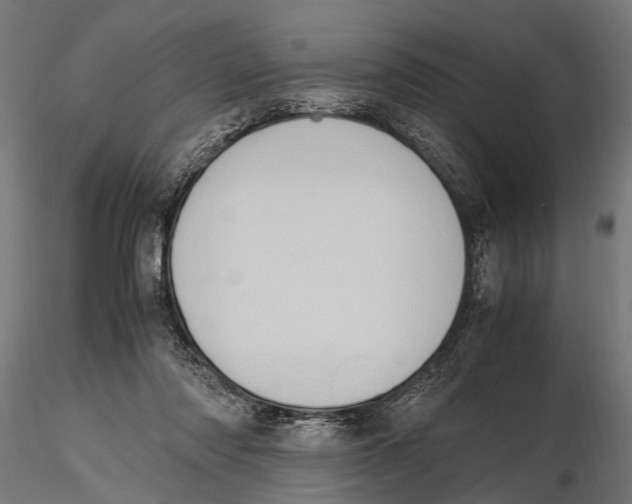 X0000115600310200912081119