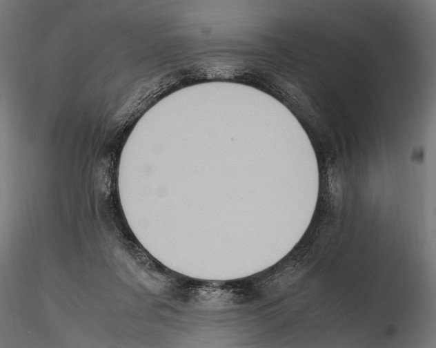 X0000115600311200912081119