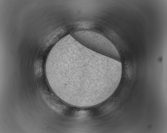 X0000115600312200912081119